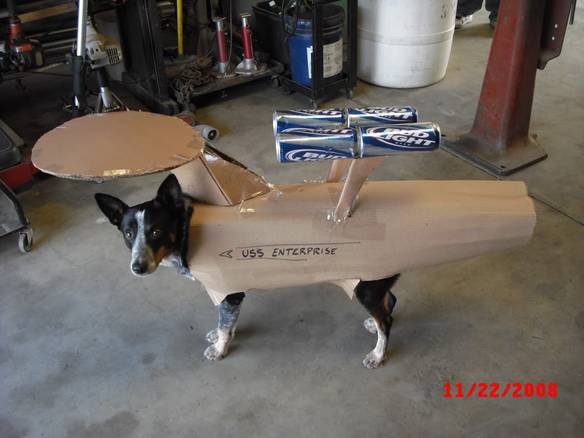 Imagem engraçada USS Enterprise Dog no iPiadas