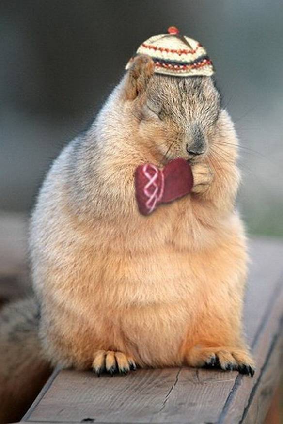 Imagem engraçada Momento de Meditação no iPiadas