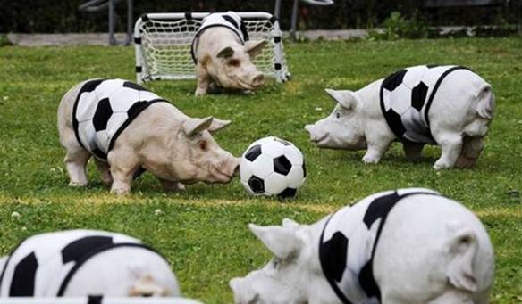 Imagem engraçada Treino do Palmeiras no iPiadas