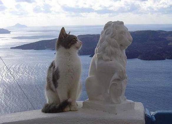 Imagem engraçada Fazendo Companhia no iPiadas