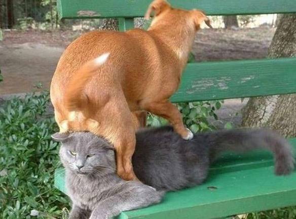 Imagem engraçada Patrão e Empregado no iPiadas