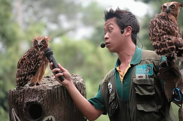 Imagem engraçada Entrevista Animal no iPiadas