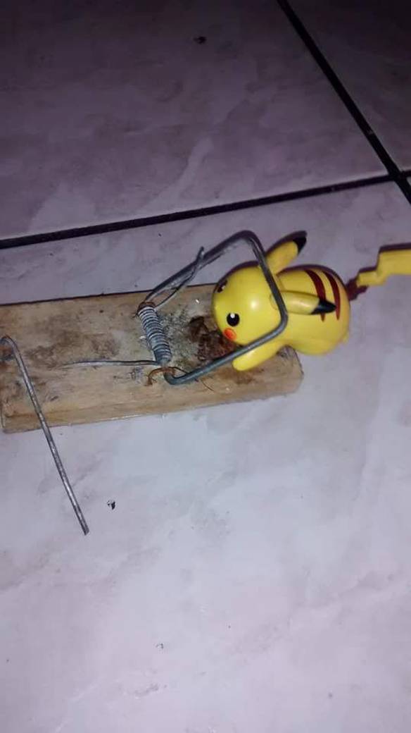 Imagem engraçada Oba, Capturei um Pikachu no iPiadas