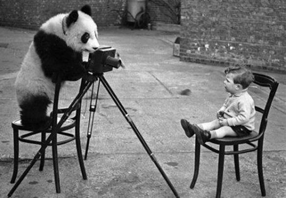 Imagem engraçada Olha o Pandinha no iPiadas