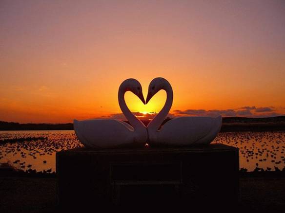 Imagem engraçada O Amor no iPiadas