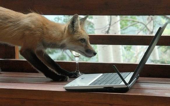 Imagem engraçada Era da Informática no iPiadas