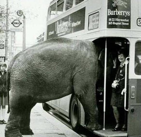 Imagem engraçada Ônibus Apertado no iPiadas