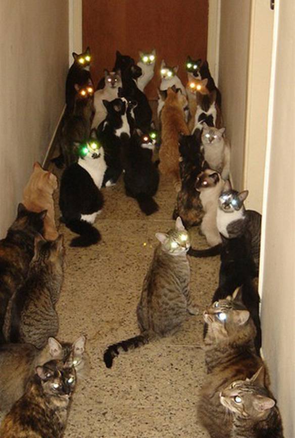 Imagem engraçada Olhos de Laser no iPiadas