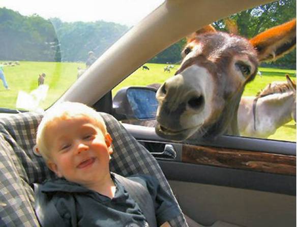 Imagem engraçada Felicidade no iPiadas