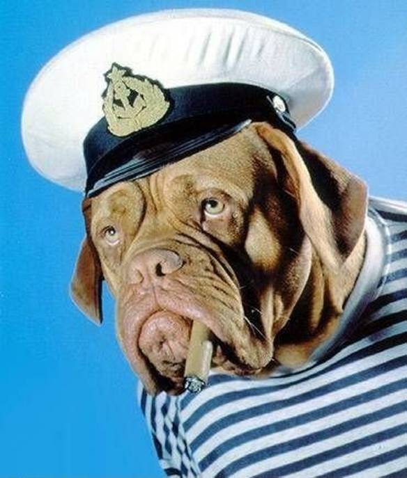 Imagem engraçada Marinheiro no iPiadas