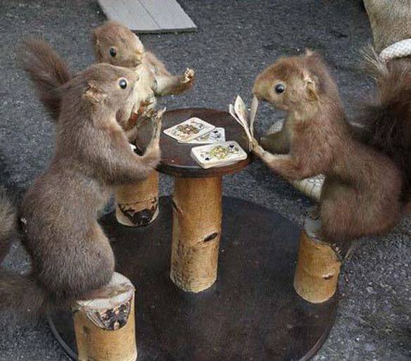 Imagem engraçada Jogo de Cartas no iPiadas