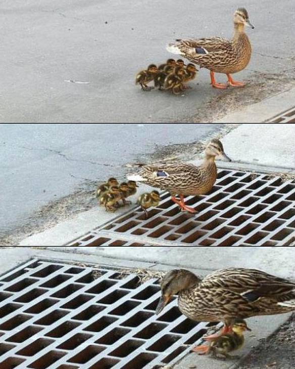 Imagem engraçada Resta Um no iPiadas