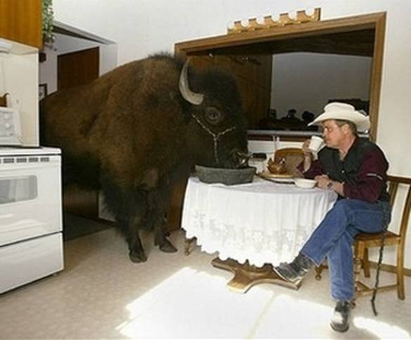 Imagem engraçada Dentro de Casa no iPiadas