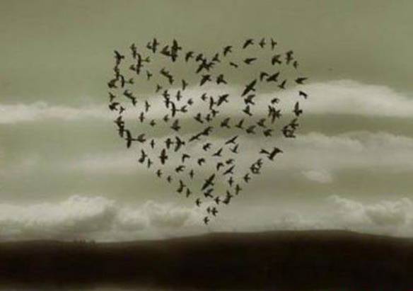 Imagem engraçada Vôo do Amor no iPiadas