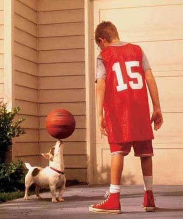 Imagem engraçada Bom no Basquete no iPiadas