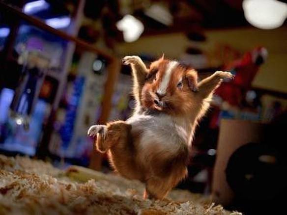 Imagem engraçada Kung Fu no iPiadas