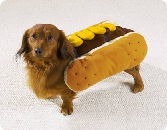 Imagem engraçada Cachorro Quente no iPiadas