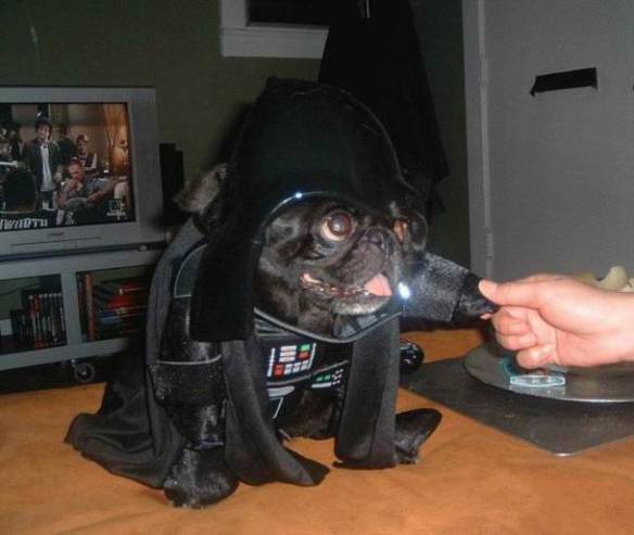 Imagem engraçada Cão Darth Vader no iPiadas