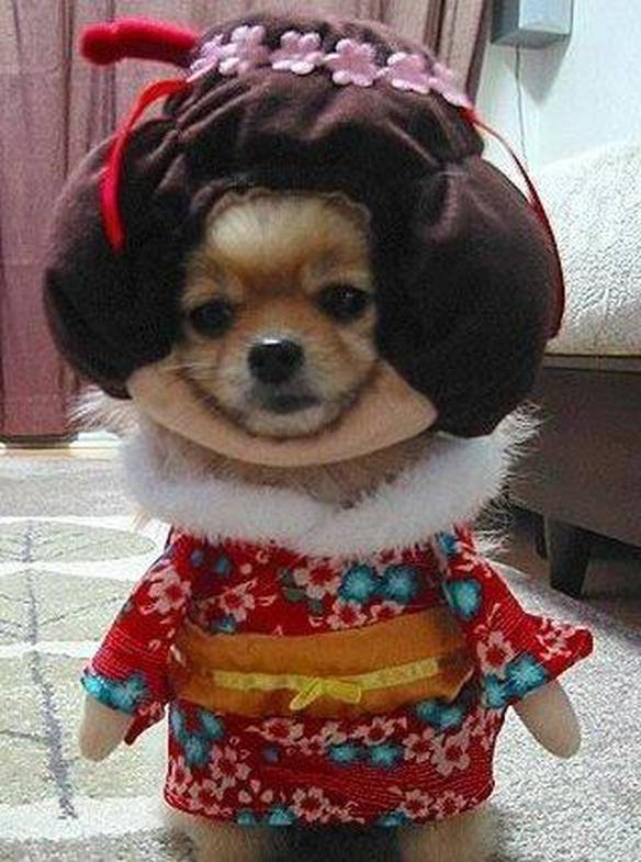 Imagem engraçada Geisha no iPiadas
