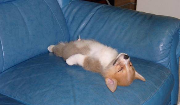 Imagem engraçada Descanso no iPiadas