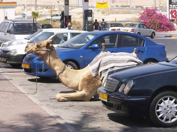 Imagem engraçada Estacionado no iPiadas