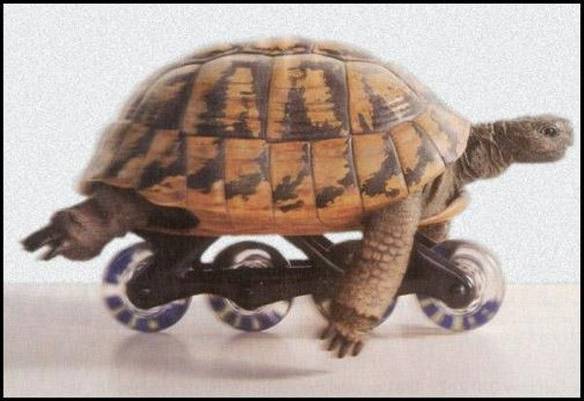 Imagem engraçada Conseguindo Velocidade no iPiadas
