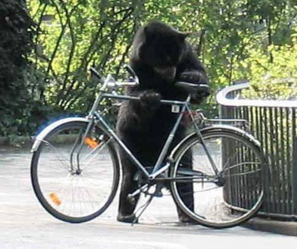 Imagem engraçada Ciclista no iPiadas