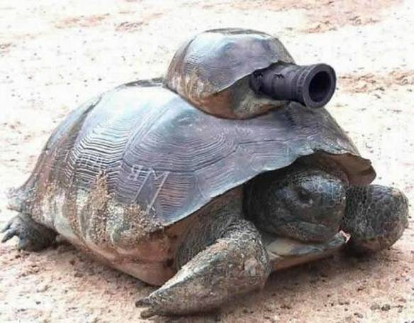 Imagem engraçada Casco de Segurança no iPiadas