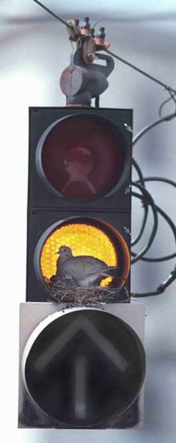 Imagem engraçada Atenção no iPiadas