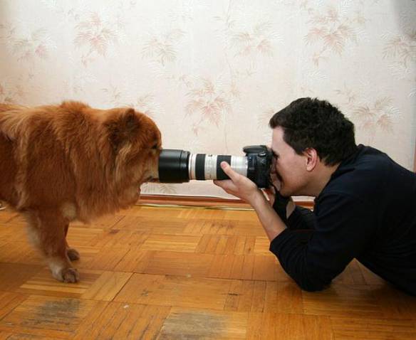 Imagem engraçada Fotografando de Perto no iPiadas
