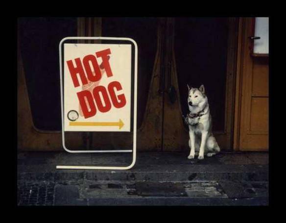 Imagem engraçada Hot Dog no iPiadas