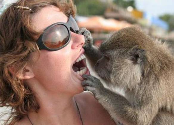 Imagem engraçada Macaco Dentista no iPiadas