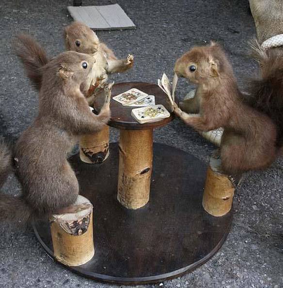 Imagem engraçada Truco no iPiadas