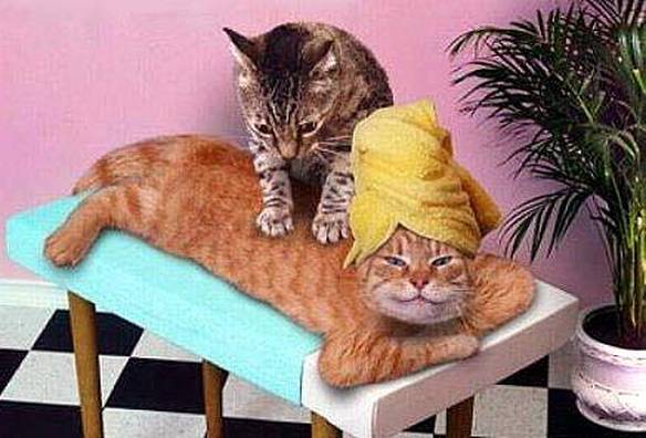 Imagem engraçada Massagem no iPiadas
