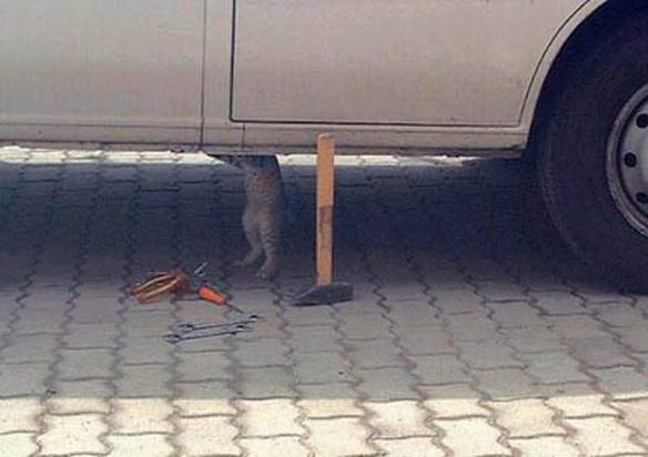 Imagem engraçada Gatinho mecânico no iPiadas