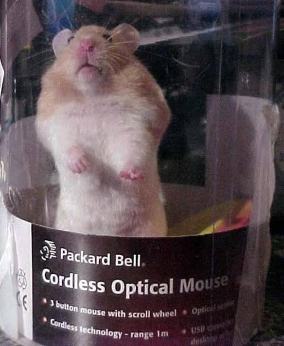 Imagem engraçada Mouse Óptico no iPiadas