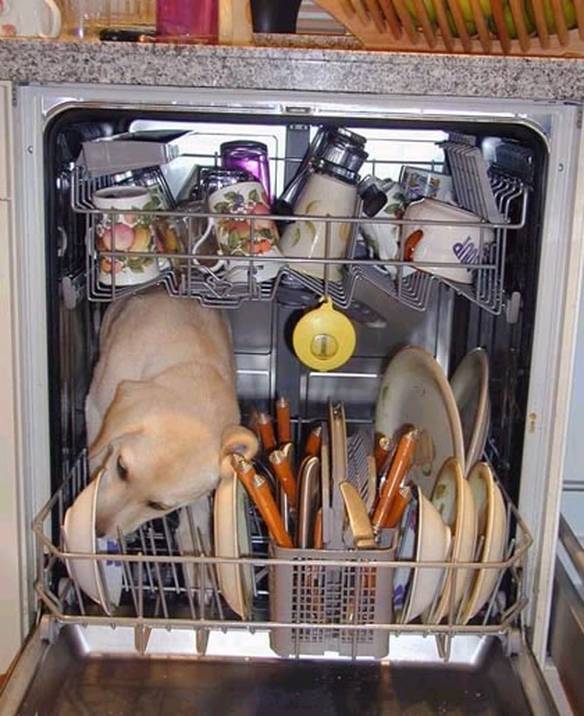 Imagem engraçada Lavando os pratos no iPiadas