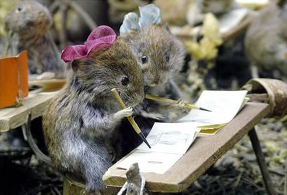 Imagem engraçada Alunos Aplicados no iPiadas