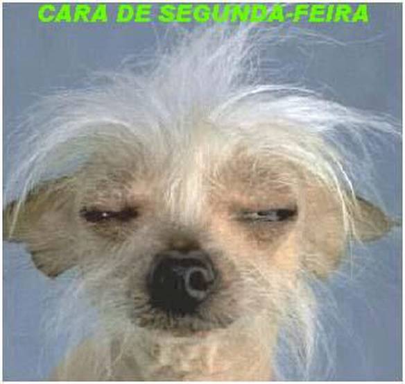 Imagem engraçada Cara de Segunda-Feira no iPiadas
