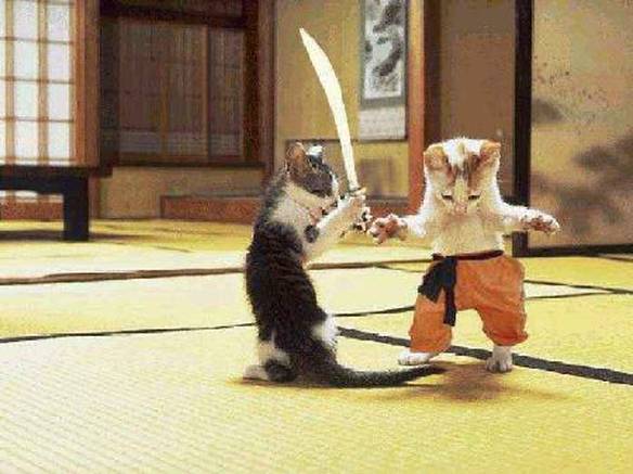 Imagem engraçada Gatos Protagonizando Meowtrix no iPiadas