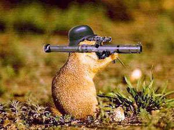 Imagem engraçada Guerra no iPiadas