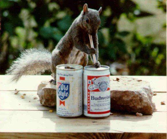 Imagem engraçada Comparando as Cervejas no iPiadas