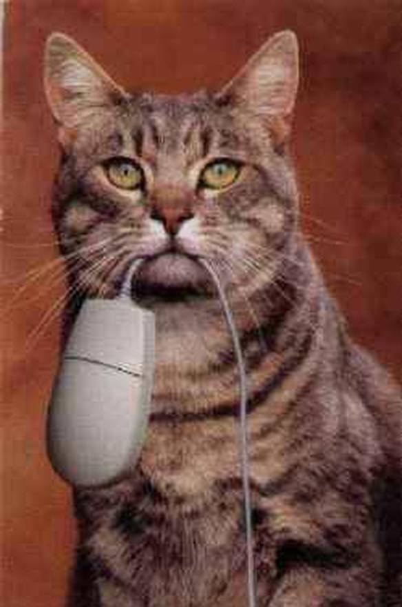 Imagem engraçada O Gato e Seu Rato no iPiadas