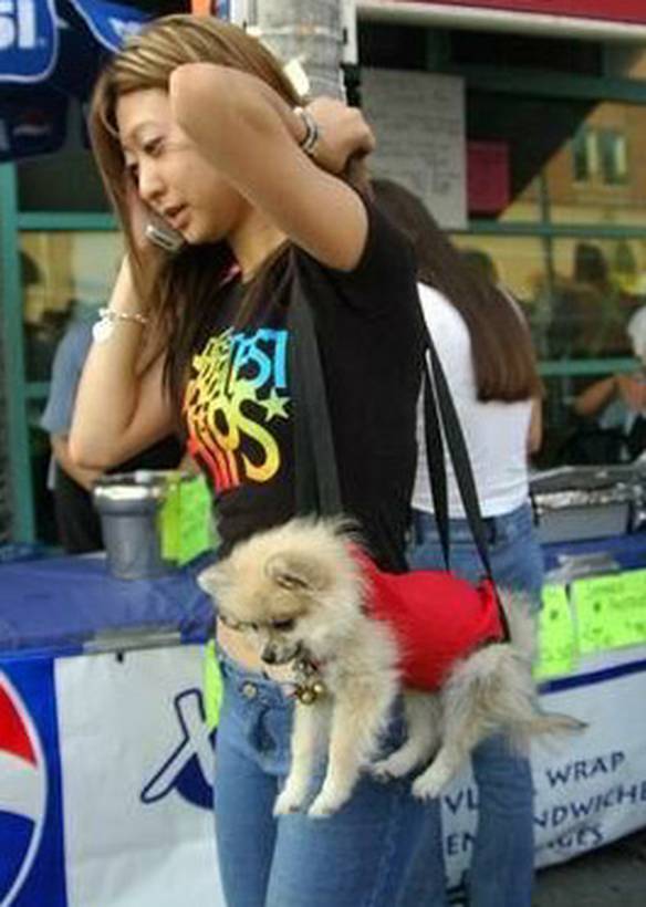 Imagem engraçada Levando o Cachorro Para Passear no iPiadas
