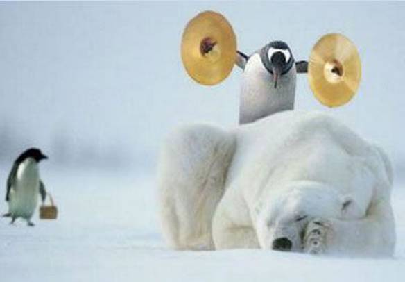 Imagem engraçada Pinguins Pertubadores no iPiadas