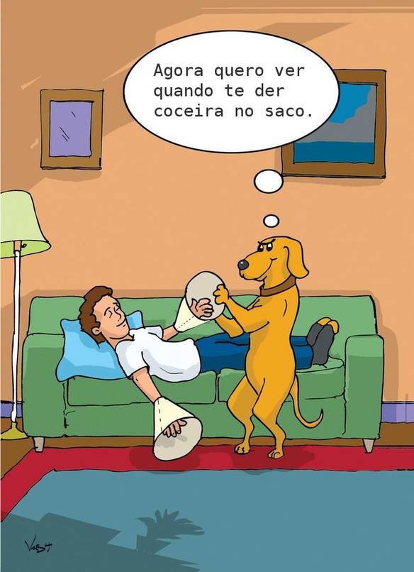 Imagem engraçada Problemas de Cachorro no iPiadas