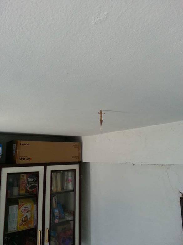 Imagem engraçada Aqui Aparece de Tudo... no iPiadas