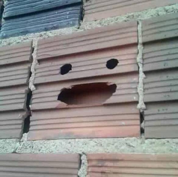 Imagem engraçada Queria Ter a Alegria Desse Tijolo no iPiadas
