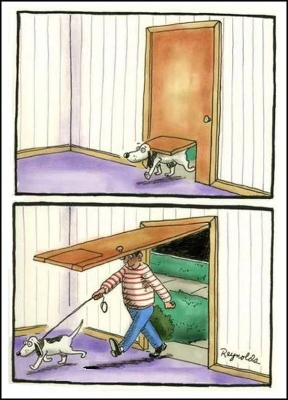 Imagem engraçada Porta Adaptada no iPiadas