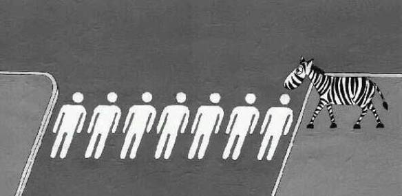 Imagem engraçada Faixa de Zebras no iPiadas